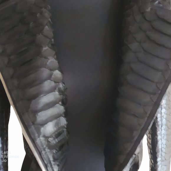 Black Snakeskin Women Motorcycle Jacket - Picture 3 of 8